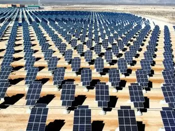 Plantas fotovoltaicas: funcionamiento y afectaciones