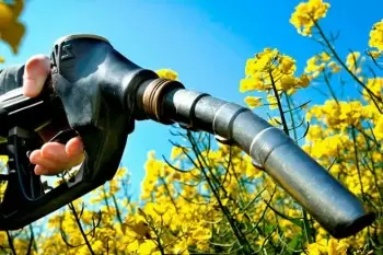 Los biocombustibles y los biocarburantes como fuente de energía