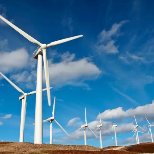 Wind farm with wind turbines