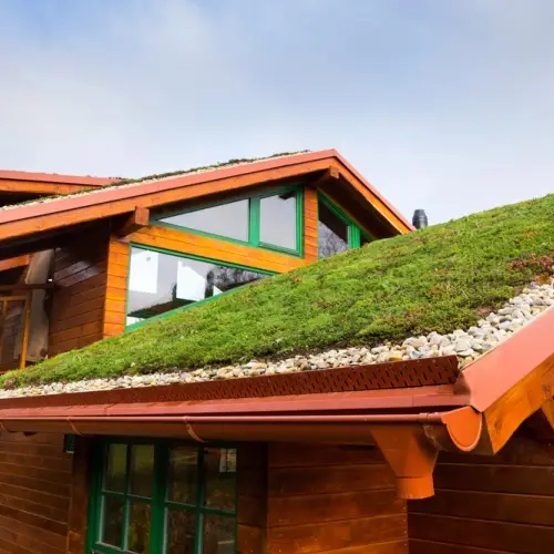 Green roof systems
