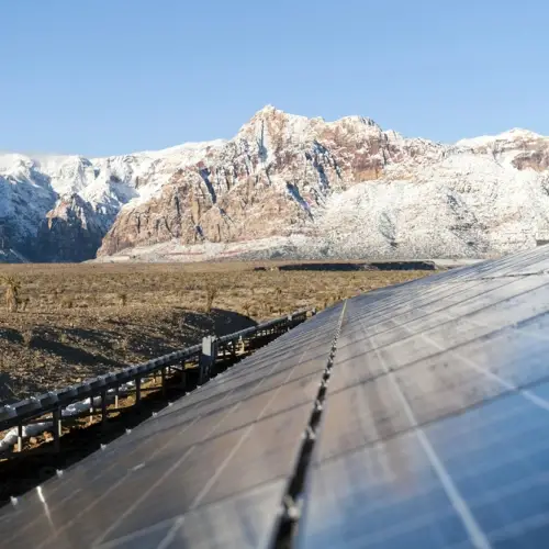 Impact de l'énergie solaire sur la faune
