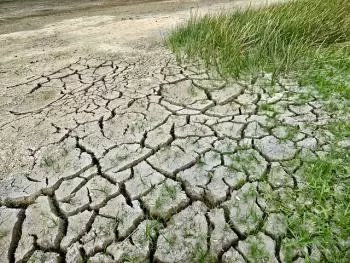 Cambio climático. Causas y consecuencias
